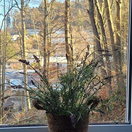 Am Wald Apartman Waldkirch Kültér fotó