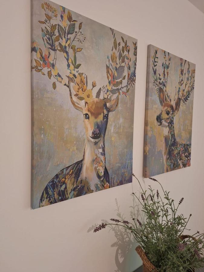 Am Wald Apartman Waldkirch Kültér fotó