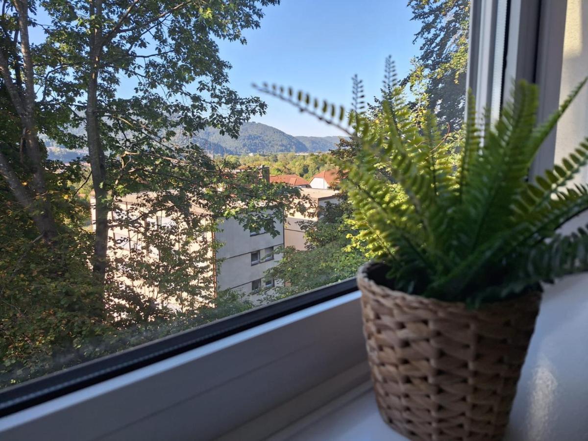 Am Wald Apartman Waldkirch Kültér fotó