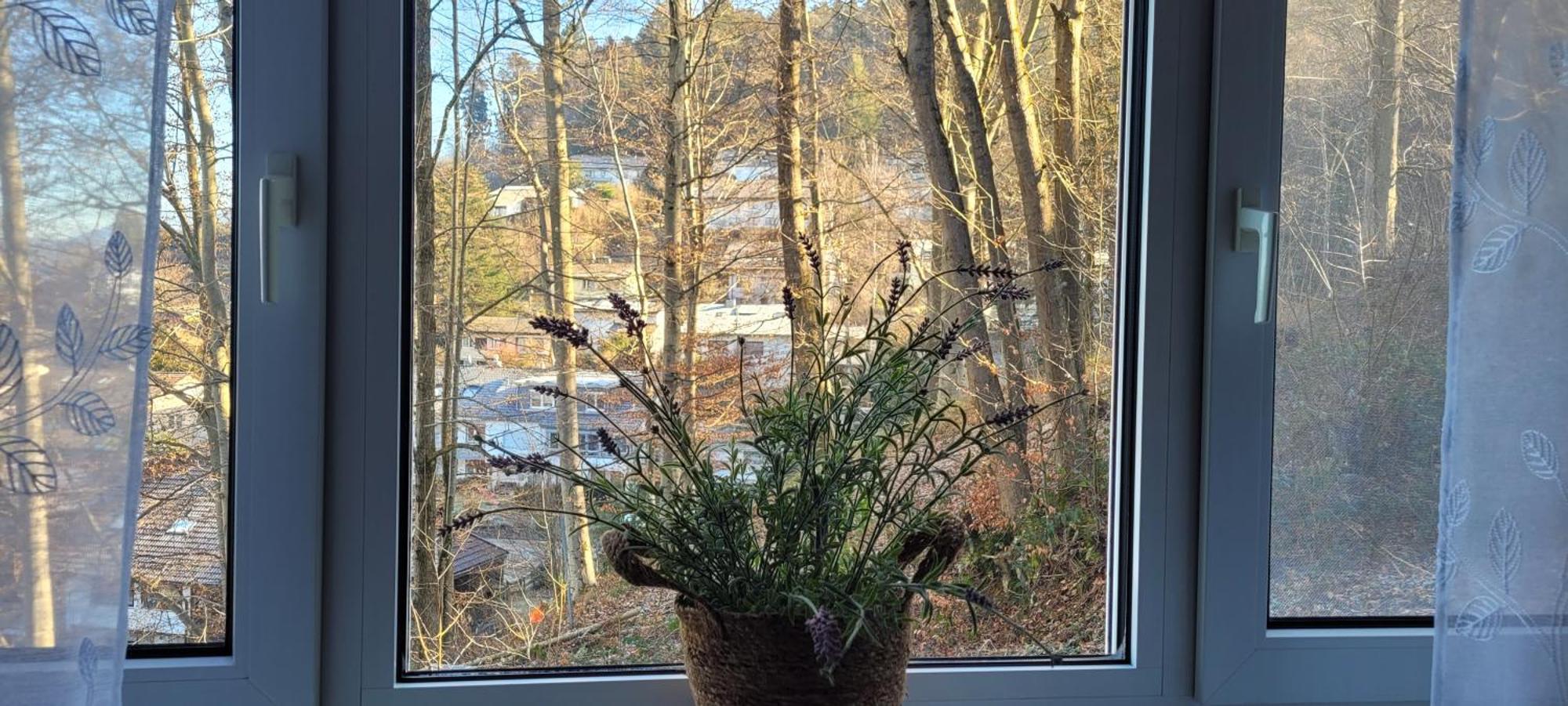 Am Wald Apartman Waldkirch Kültér fotó